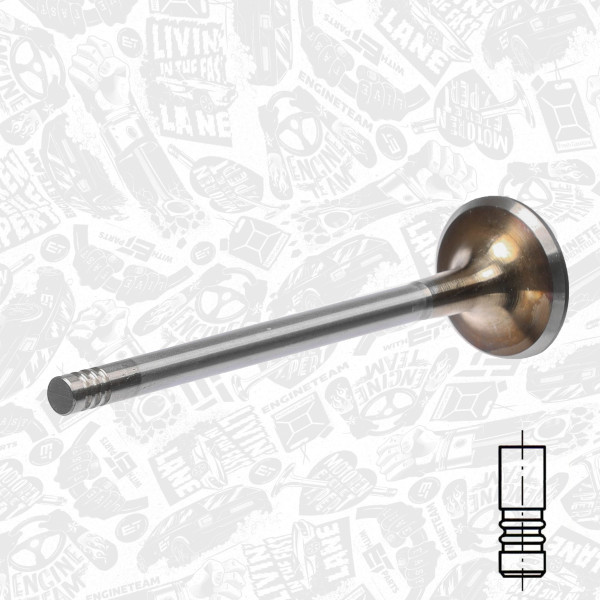 VI0033, Intake Valve, Inlet valve, ET ENGINETEAM, Skoda Superb, Audi A4/A6, VW Passat 2,5TDI 1997-2005, 059109601B, 059109601C, 331055, R6085/SCR, V94422, 33463, V94653