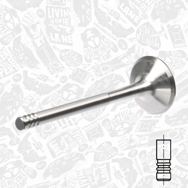 VI0034, Intake Valve, Inlet valve, ET ENGINETEAM, Skoda VW Audi Seat 1,9TDI 1993-2010, 028109601D, 1079769, 39486, R6087/S, V94084