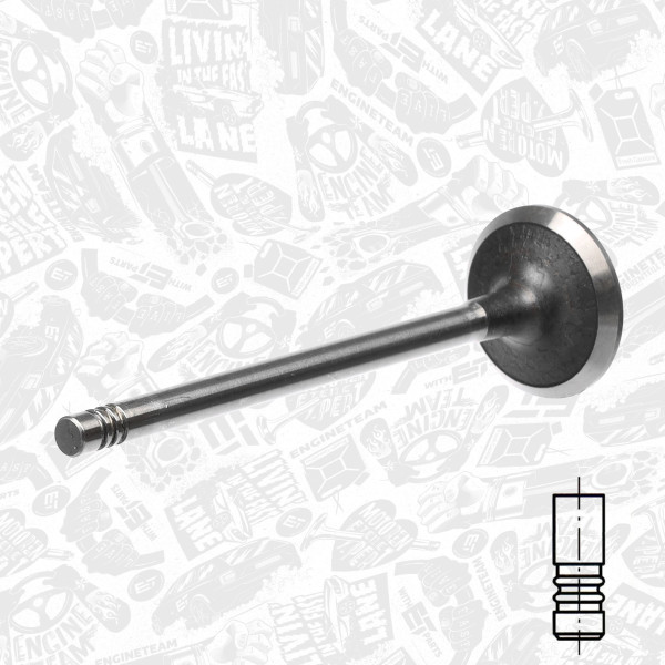 VI0044, Intake Valve, Inlet valve, ET ENGINETEAM, Citroen Fiat Ford Peugeot 2,0/2,2HDi/TDCi, 0948.A3, 8653745, 9627184380, 181104, R6163/SCR, V94490, 531021