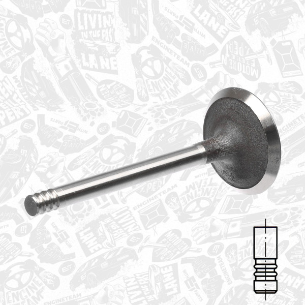 VI0051, Intake Valve, Inlet valve, ET ENGINETEAM, Skoda VW Audi Seat 1,4/1,9/2,0TDI 1999+, 038109601E, 029VE31102000, 331123, 825612, R6208/S, V94649