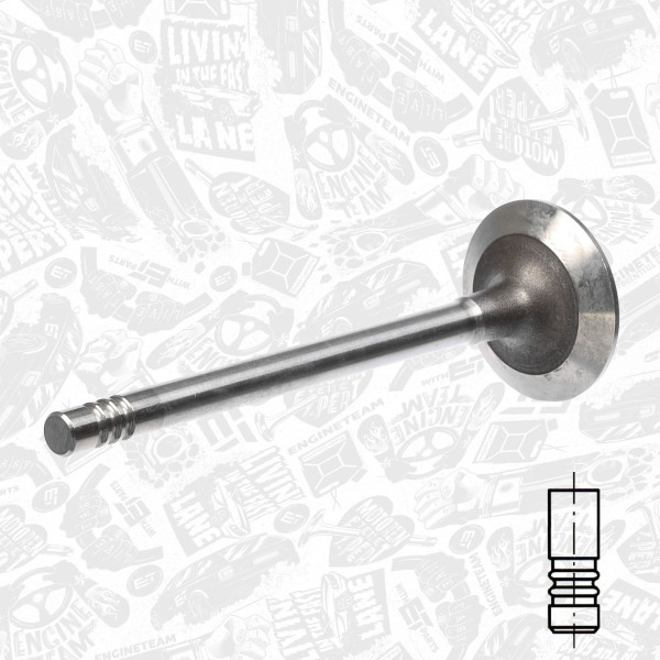 VI0054, Intake Valve, Inlet valve, ET ENGINETEAM, VW LT 28-46 2,8TDI AGK/ATA/AUH/BCQ 1997-2006, 62109601, 029VE31162000, 331113, R6312/SCR, 062109601, 062109611A, 3200.032, 3200032