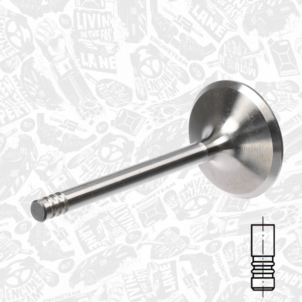 VI0079, Intake Valve, Inlet valve, ET ENGINETEAM, Skoda VW Audi Seat Toyota 1,3/1,6/2,0/2,6/2,8i 1990-2008, 078109601A, 078109601B, 078109601E, 078109601F, 33403, R4806/R, V94079, R4806/S, V94307