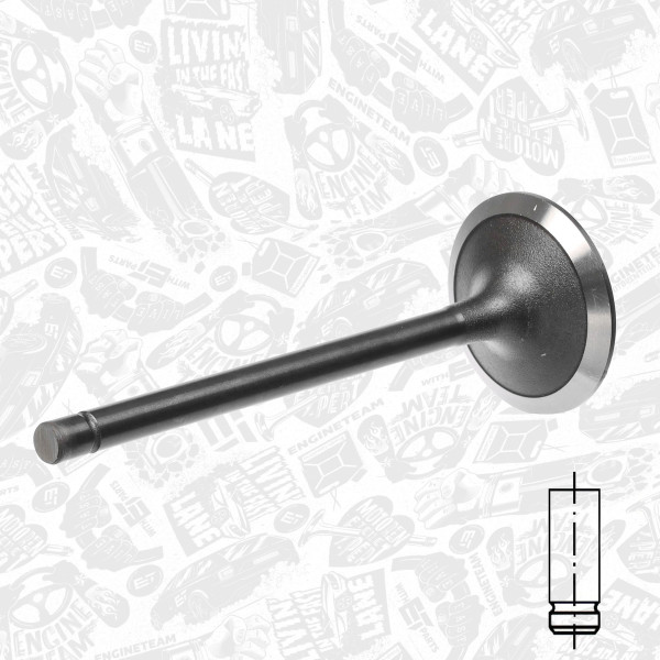 VI0087, Intake Valve, Inlet valve, ET ENGINETEAM, Iveco EuroCargo/Zeta 8040/8060 1987-2000, 1904656, 4784888, 4803805, 4824416, 99432652, 1908408, 17075, 50004645, 820880, R4232/SNT, V91301