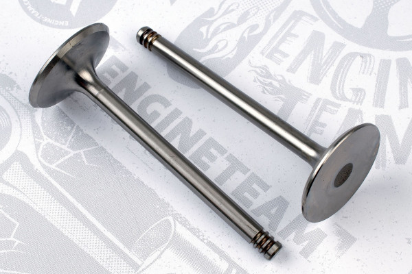 VI0089, Intake Valve, Inlet valve, ET ENGINETEAM, Citroen Xantia, Peugeot 306/405 2,0i RFU/RGX/RFX 1991-2004, 0948.66, 5990532, 96059361, 9605936180, 157579, 50004317, R3953/SCR, R4458/S, R4608/S