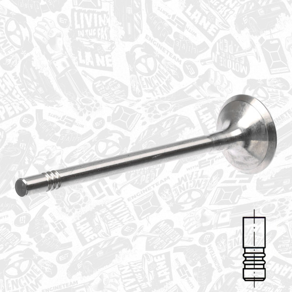 VI0100, Einlassventil, Einlassventil, ET ENGINETEAM, Skoda VW Audi Seat 1,6TDI 2008+, 03L109601A, 331151, R6690/S
