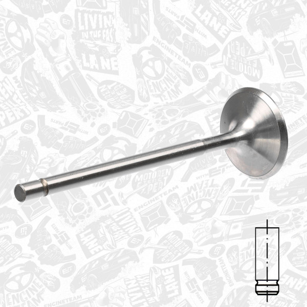 VI0111, Intake Valve, Inlet valve, ET ENGINETEAM, Citroen C5, Peugeot 406 2,0i RLZ (EW10D) 2001-2004, 0948.A7, 531027, R6159/S, V94494
