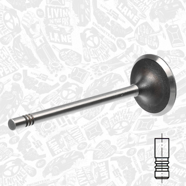 VI0114, Einlassventil, Einlassventil, ET ENGINETEAM, Seat VW 1,4i AKK/AUD/AKP 1995-2005, 030109601AL, 331046, R6197/S, V94404