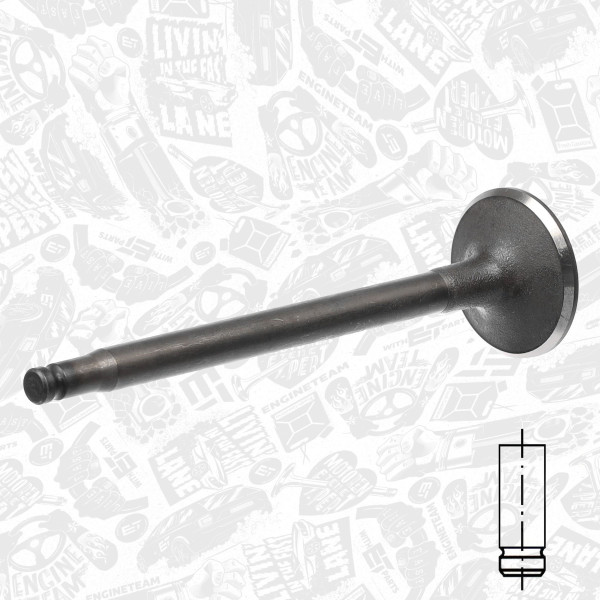 VI0122, Einlassventil, Einlassventil, ET ENGINETEAM, Mercedes-Benz C/E Class/Vito 2,2CDI OM 646/647 2001+, 6280530001, 261124, R6426/SNT, V98066