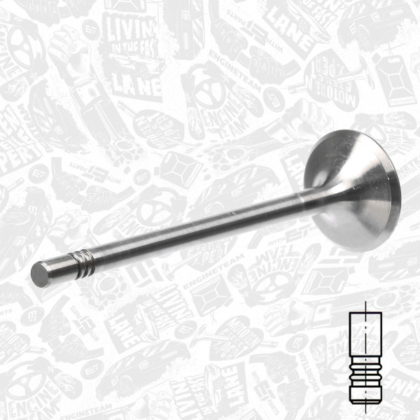 VI0123, Intake Valve, Inlet valve, ET ENGINETEAM, 6420530401, MN960088, 001VE31378000, 261126, R6473/SCR, V98071, V98085
