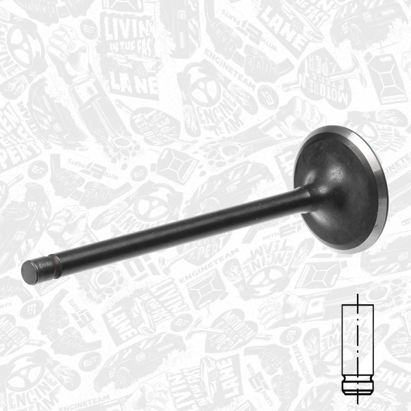 VI0130, Intake Valve, Inlet valve, ET ENGINETEAM, Nissan Almera/Primera 1,8i QG18DE 1999-2006, 13201-AU300, 701034, R6593/SNT