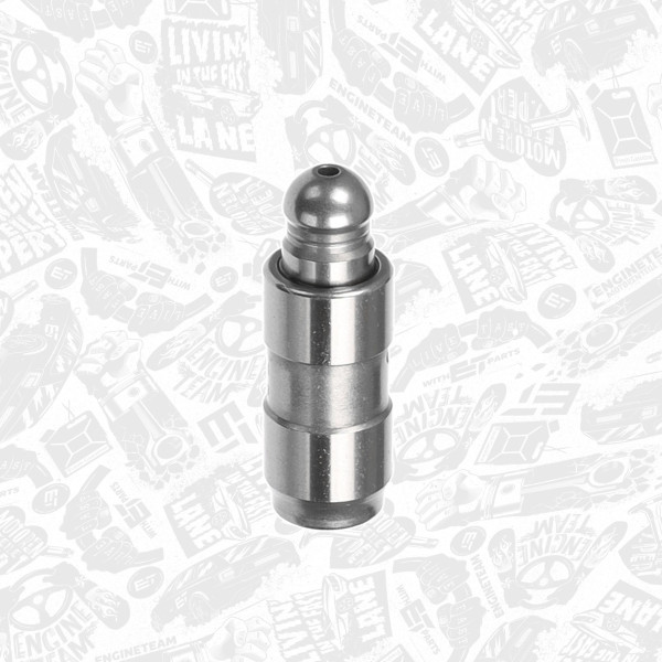 ZH0055, Tappet, Hydraulic tappet, ET ENGINETEAM, Skoda VW Audi Seat Mazda Ford 1,4/1,6/2,0i 2000+, 022109423D, 1146061, 022109423A, 50006419, FOL154
