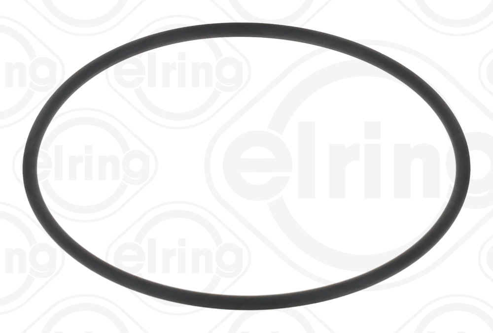Dichtung, Kraftstoffilter - 003.020 ELRING - 0179979345, 4892784