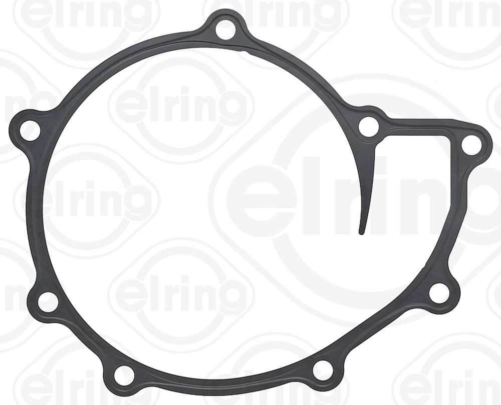 Gasket, water pump - 008.971 ELRING - 51.06901-0196, 48407, 51069010196