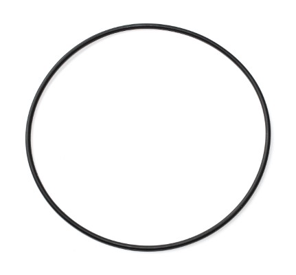 Seal, fuel filter - 002.970 ELRING - 0179979445