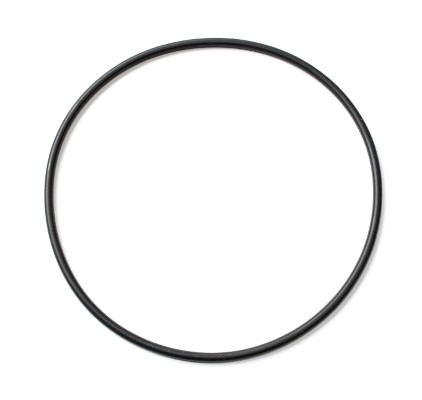 Seal, fuel filter - 003.010 ELRING - 0179977445