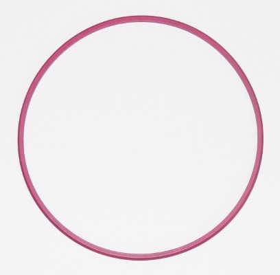 Seal Ring - 003.881 ELRING - 0229975345