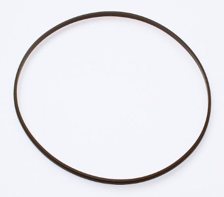 Seal Ring - 003.900 ELRING - 0189974845, 0239975545