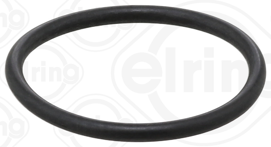Dichtring - 198.500 ELRING - 06.56937-2168