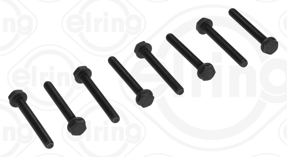 246.630, Bolt Set, crankshaft brackets, Bolt set, ELRING, 1005216, 1257600, 9186548, N90066601, N90130001