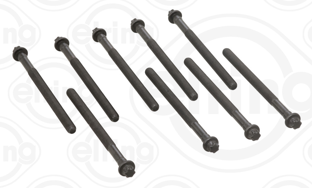 Cylinder Head Bolt Set - 455.730 ELRING - 0000160569, 81055800, BK5602