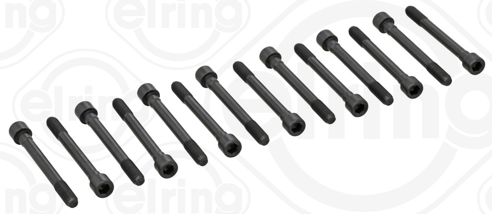 Cylinder Head Bolt Set - 710.100 ELRING - 11056-V7201, 016022B, 14-55040-01