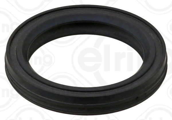 Seal, adjusting element (eccentric shaft) - 725.250 ELRING - 11127502482
