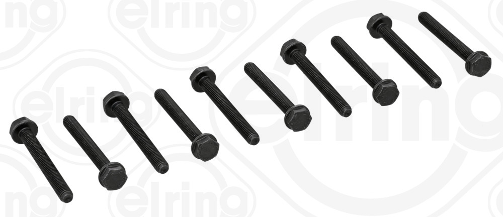 897.440, Bolt Set, crankshaft brackets, Bolt set, ELRING, 1005216, 1257600, 9186548, N90066601, N90130001
