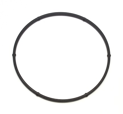 104.200, Gasket, water pump, Water pump gasket, ELRING, 1334725, 24435921