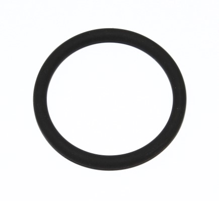 Seal Ring - 165.520 ELRING - 01180647, 55582541, 650105