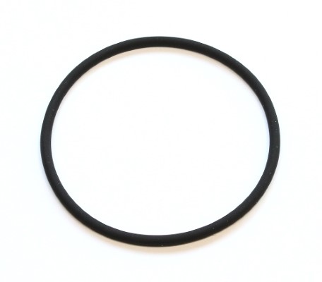 290.860, Gasket, thermostat, Gasket various, ELRING, 0169975045, 14459681, 14661-HG00C, 16032100