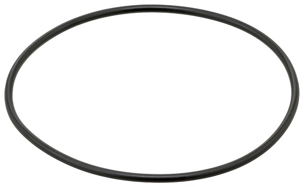 567.710, Seal Ring, Gasket various, ELRING, 0289972045, 1769800