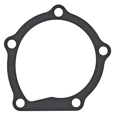 Gasket, water pump - 925.170 ELRING