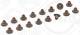 Dichtungssatz, Ventilschaft - 155.750 ELRING - 12-34439-01, 19036006, 57030900
