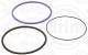 O-Ring Set, cylinder sleeve - 242.430 ELRING - 15-10805-01, 20520607, 60011700