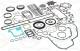Dichtungsvollsatz, Motor - 463.460 ELRING - 51.00900-6662