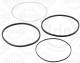 O-Ring Set, cylinder sleeve - 894.470 ELRING