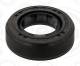 Seal Ring - 928.490 ELRING - 09D321199