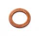 Dichtring - 119.903 ELRING - 33-111180-00, 40-70146-00