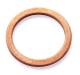 Seal Ring - 128.902 ELRING - 33-111570-00, 40-70203-00