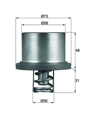 Thermostat, Kühlmittel - THD289 MAHLE - 34830, 459-180, 862037688