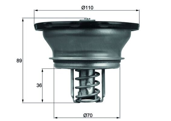 Thermostat, Kühlmittel - THD376 MAHLE - 20441483, 40673, 7421237215