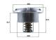 Thermostat, coolant - THD675 MAHLE - 04911830