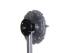 Clutch, radiator fan - CFC111000P MAHLE - 16210-54150, 191221, 2100500008