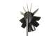 Fan, radiator - CFF410000P MAHLE - 188112, 376702091, 8130107