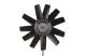 Fan, radiator - CFF410000P MAHLE - 188112, 376702091, 8130107