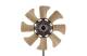 Fan, radiator - CFF453000P MAHLE - 0VS0115140A, 376734311, 49586
