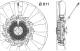 Fan, radiator - CFF487000P MAHLE - 20008357, 376791691, 51.06600.7050