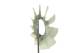 Fan Wheel, engine cooling - CFW40000P MAHLE - 1644886, 298028N, 376757491