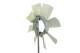 Fan Wheel, engine cooling - CFW49000P MAHLE - 0005000364, 138035N, 376758231