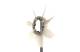 Fan Wheel, engine cooling - CFW63000P MAHLE - 1636167020, 376791441, 8MV376791-441
